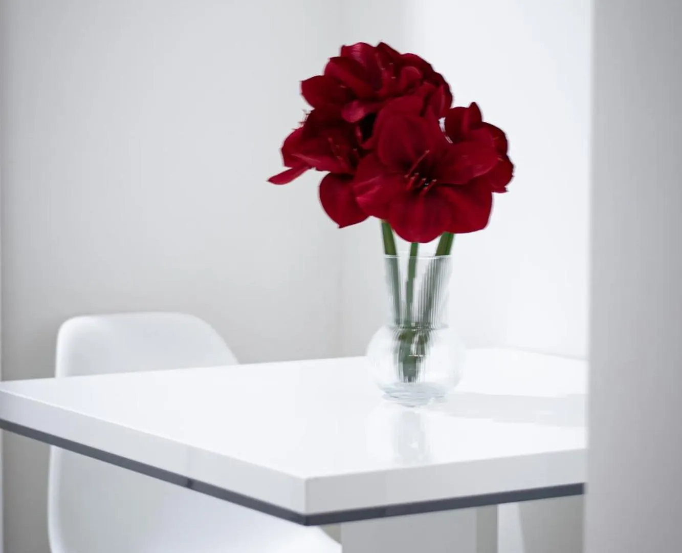 Helen New Apartments Chain Florenc Prague